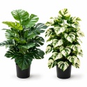 Sztuczne kwiaty Monstera Rośliny 2 sztuki Zestaw 68cm Zielone Kremowe