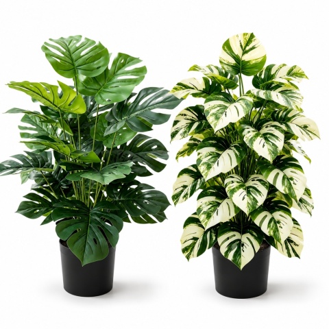 Sztuczne kwiaty Monstera Rośliny 2 sztuki Zestaw 68cm Zielone Kremowe